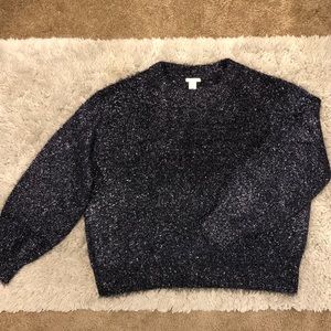 Navy H&M Sweater NWT